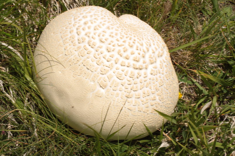 in alta quota nei miei Sibillini